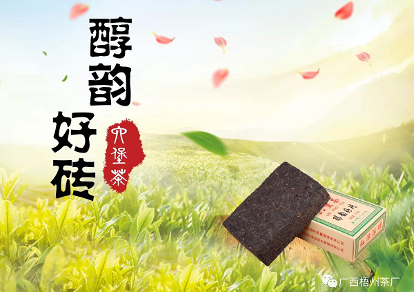 圖片2.png 圖片2.png