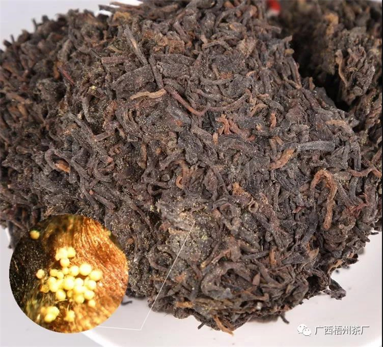 微信圖片_20191129091743_副本.jpg 微信圖片_20191129091743_副本.jpg