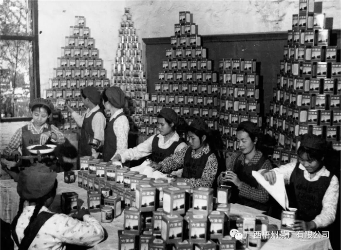 微信圖片_20210518175452_副本.jpg 微信圖片_20210518175452_副本.jpg