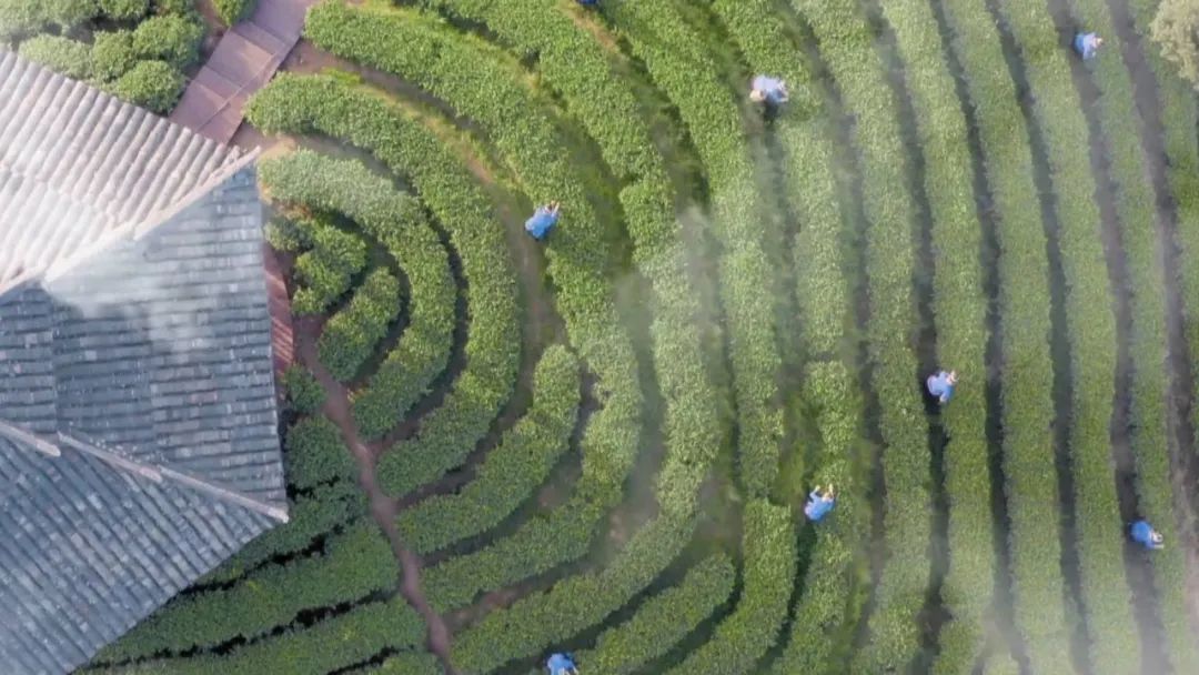 微信圖片_20220324084632.jpg 微信圖片_20220324084632.jpg